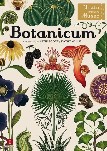 Botanicum | 9788416542437 | Willis, Kathy | Librería Sendak