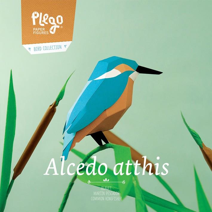 Plego Alcedo Atthis (Blauet) | 9999900002393 | Llibreria Sendak