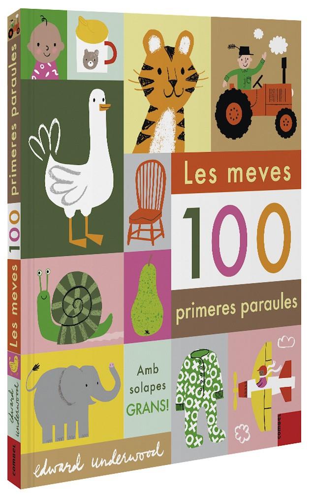 Les meves 100 primeres paraules | 9788491015932 | Llibreria Sendak