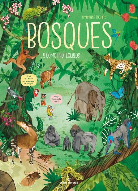 Bosques... y cómo protegerlos | 9788419158307 | Thomas, Amandine | Librería Sendak