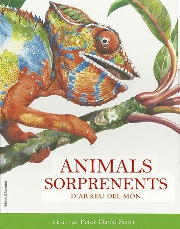 Animals sorprenents del món | 9788426138712 | David Scott, Peter | Librería Sendak