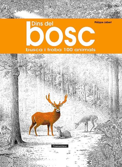 Dins del bosc | 9788418520563 | Llibreria Sendak