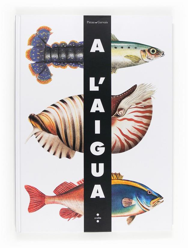A l'aigua | 9788466130899 | Pittau, Francesco/Gervais, Bernadette | Llibreria Sendak