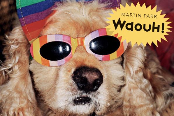 Waouh! | 9782361938048 | Parr, Martin | Llibreria Sendak