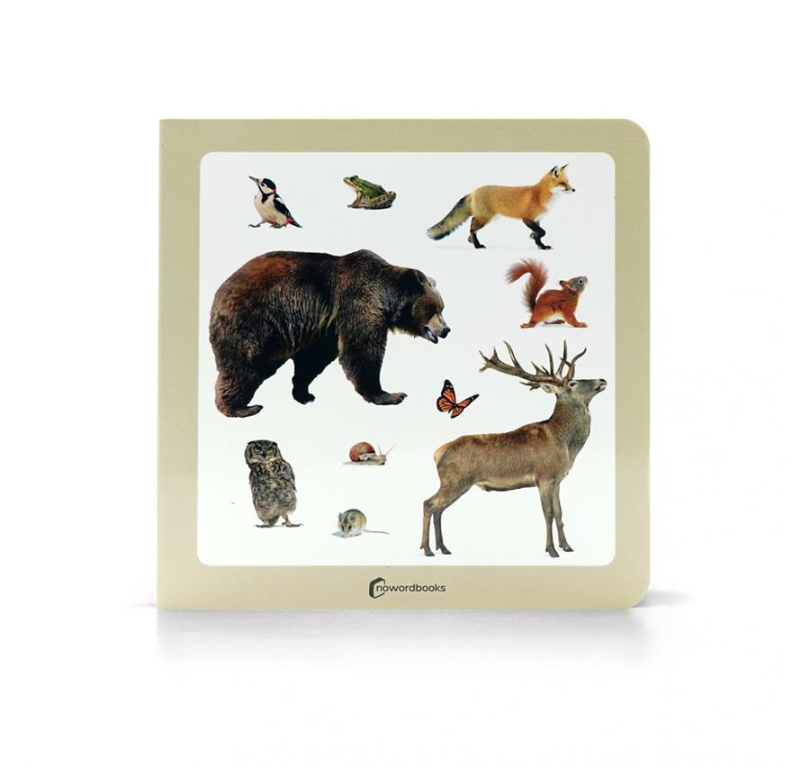 Animals del bosc 2 | 9788412804386 | NOWORDBOOKS | Librería Sendak