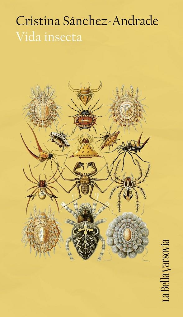 Vida insecta | 9788433949653 | Sánchez-Andrade, Cristina | Llibreria Sendak