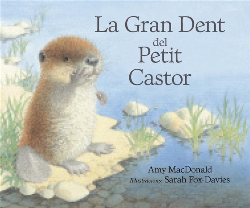 La gran dent del petit castor | 9788493933944 | Mc Donald, Ami/Fox Davies, Sarah | Llibreria Sendak