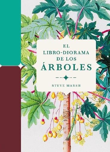 El libro-diorama de los árboles | 9788412386196 | Marsh, Steve | Llibreria Sendak