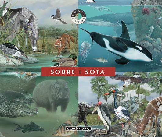 Sobre i sota | 9788426136183 | Bertolucci - Cucchiarini | Librería Sendak