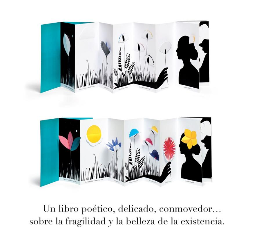 Ver la luz | 9788494105425 | Giuliani, Emma | Llibreria Sendak