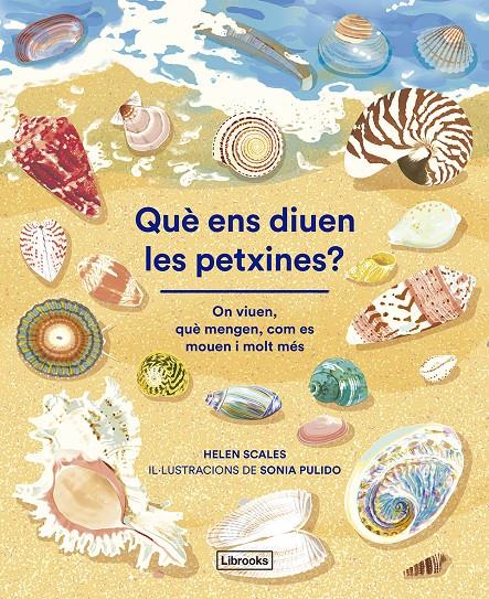 Què ens diuen les petxines? | 9788412826500 | Scales, Helen | Llibreria Sendak