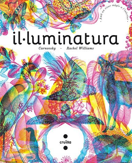 Il·luminatura | 9788466141192 | Williams, Rachel | Llibreria Sendak