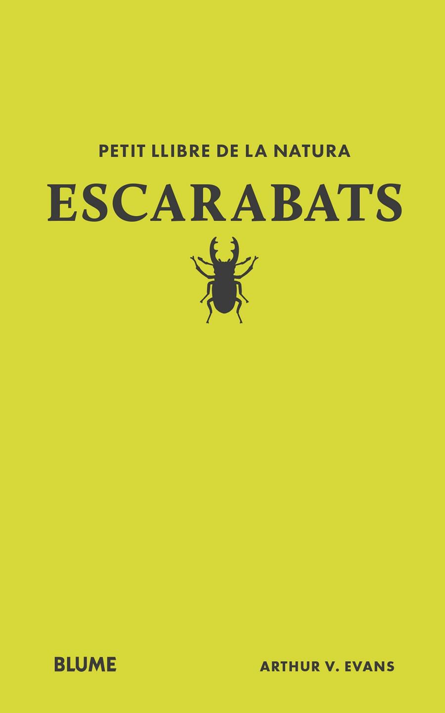 Petit llibre de la natura. Escarabats | 9788410268746 | Evans, Arthur V | Librería Sendak