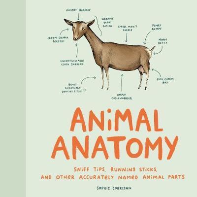 Animal Anatomy | 9781452174495 | Corrigan, Sophie | Llibreria Sendak