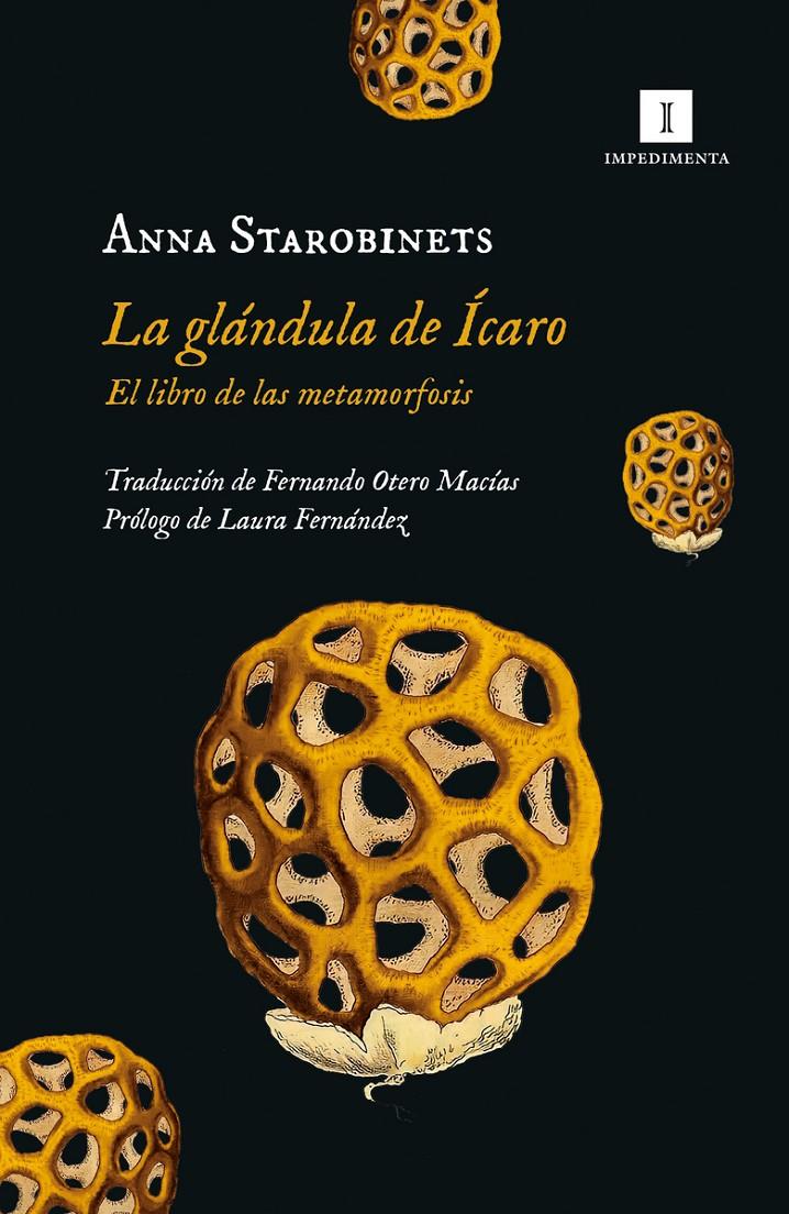 La glándula de Ícaro | 9788419581020 | Starobinets, Anna | Llibreria Sendak