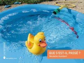 Que s’est-il passé? | 9782889082186 | Humbert, Nicolette | Llibreria Sendak