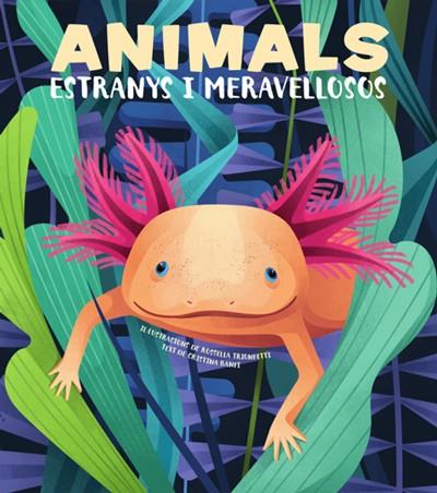 Animals estranys i meravellosos | 9788468270685 | Banfi, Cristina | Librería Sendak
