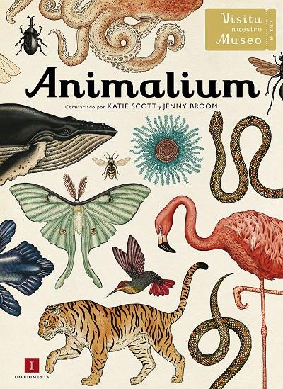 Animalium | 9788415979463 | Librería Sendak