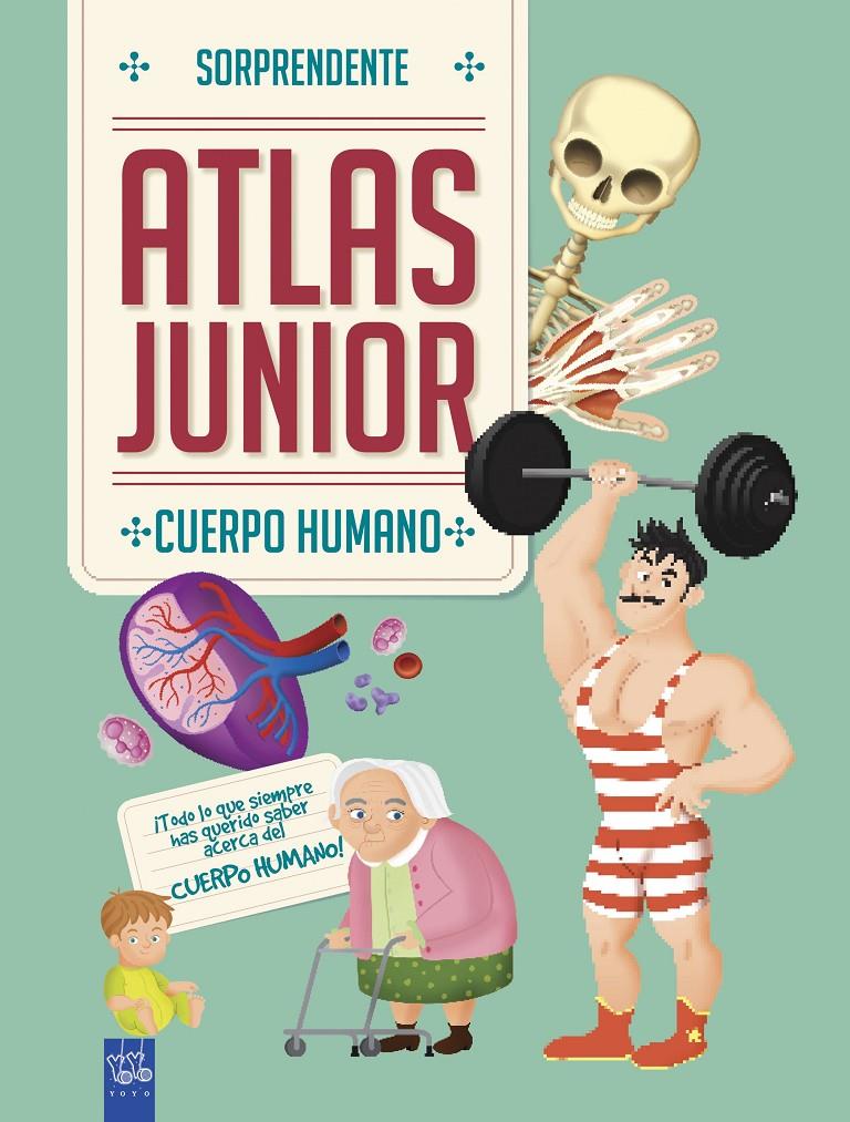 Atlas junior del cuerpo humano | 9788408184690 | YOYO | Librería Sendak