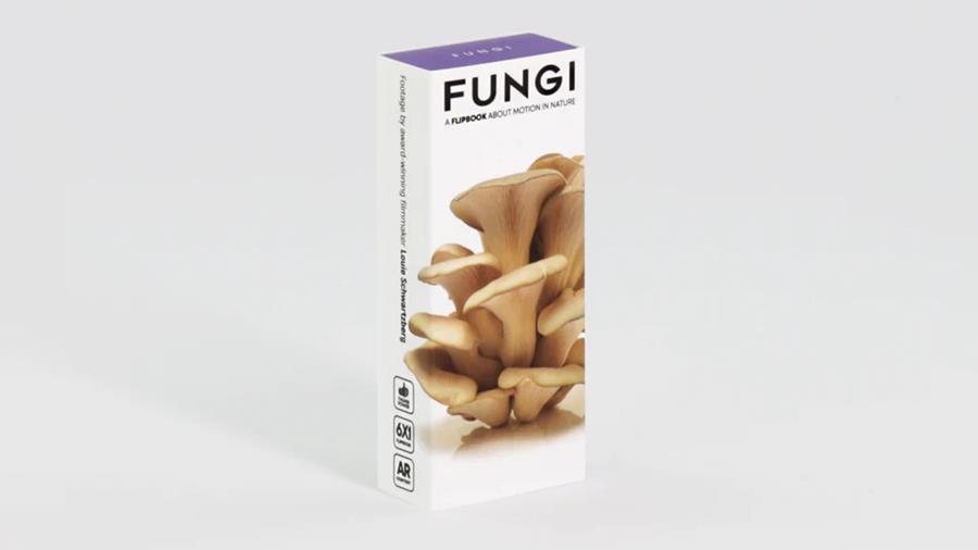 FLIPBOKU Fungi - Motion in Nature | 9788412799071 | Llibreria Sendak