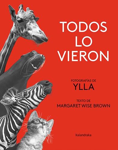 Todos lo vieron | 9788413431840 | Brown, Margaret Wise | Librería Sendak