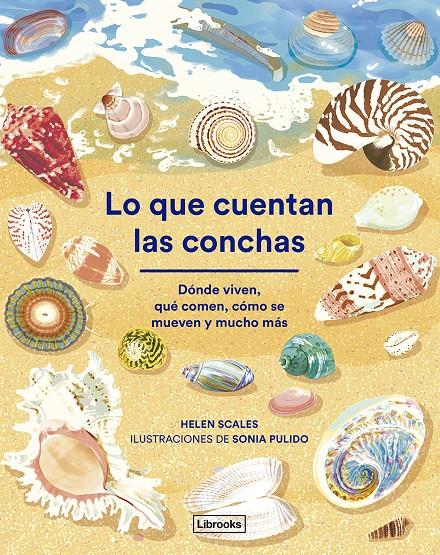 Lo que cuentan las conchas | 9788412826517 | Scales, Helen | Llibreria Sendak