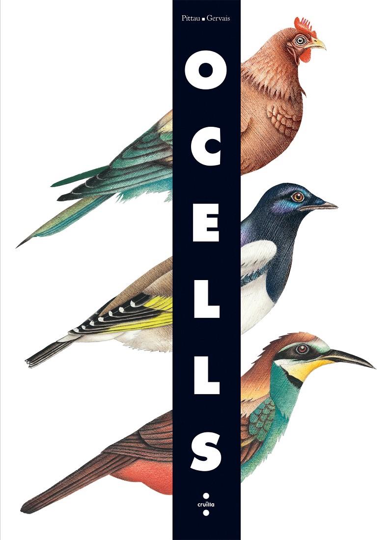 Ocells | 9788466126243 | Pittau, Francesco/Gervais, Bernadette | Llibreria Sendak
