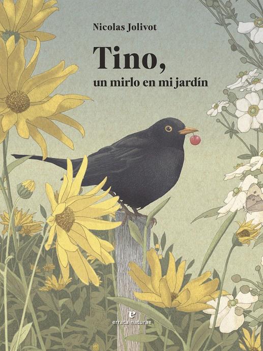 Tino, un mirlo en mi jardín | 9791387597160 | Jolivot, Nicolas | Librería Sendak