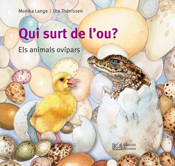 Qui surt de l'ou? | 9788426144096 | Lange, Monika | Llibreria Sendak