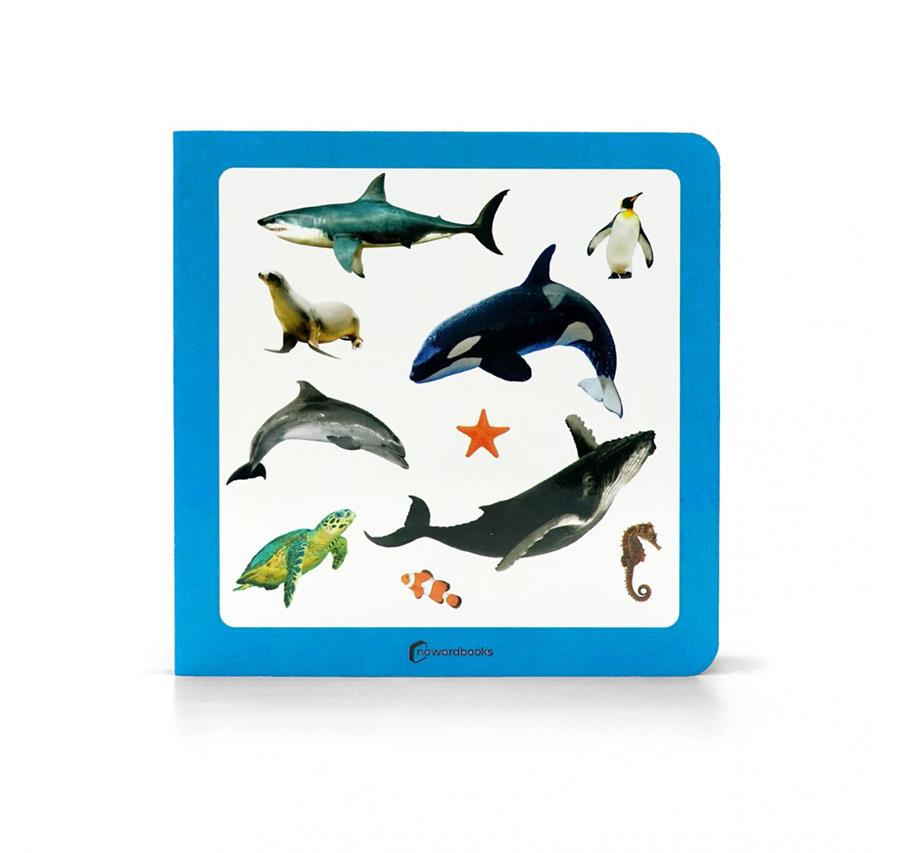Animals marins 3 | 9788412804379 | NOWORDBOOKS | Librería Sendak