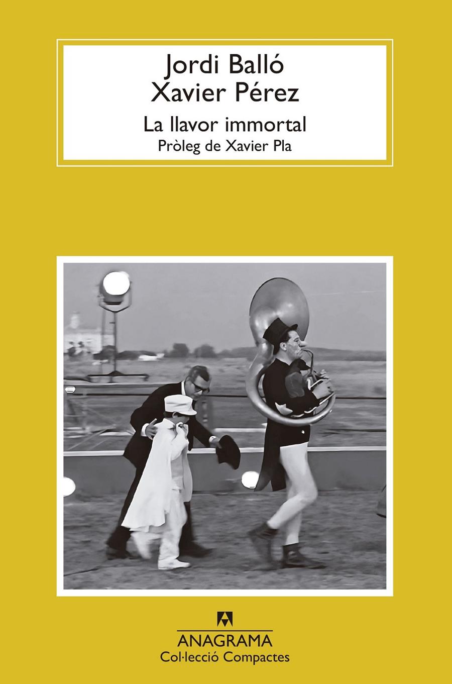 La llavor immortal | 9788433927347 | Balló, Jordi/Pérez, Xavier | Llibreria Sendak