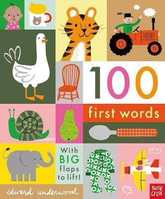 100 First Words | 9781788004893 | Llibreria Sendak