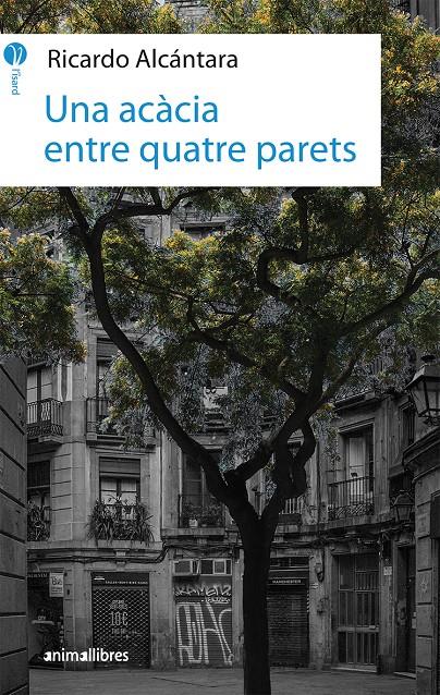 Una acàcia entre quatre parets | 9788417599010 | Alcántara Sgarbi, Ricardo | Llibreria Sendak