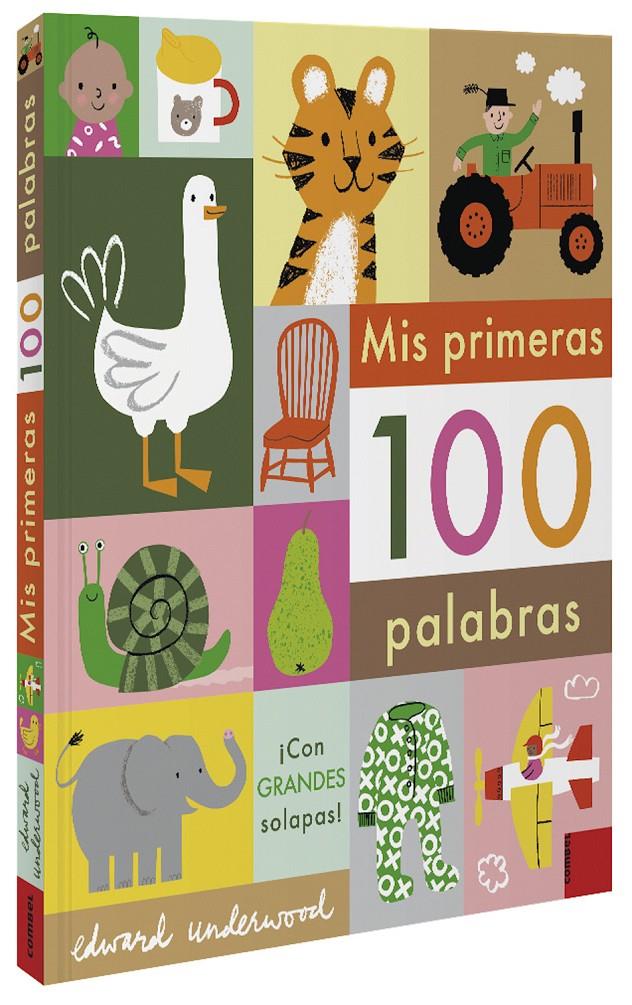 Mis primeras 100 palabras | 9788491015949 | Underwood, Edward | Llibreria Sendak