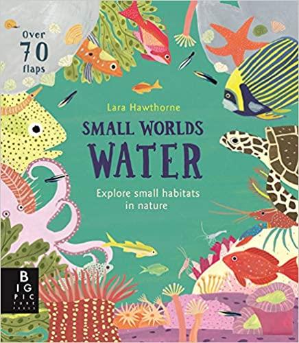 Small Worlds: Water | 9781787415621 | Llibreria Sendak