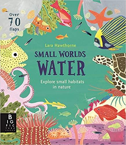 Small Worlds: Water | 9781787415621 | Librería Sendak