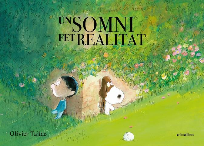 Un somni fet realitat | 9788417599324 | Tallec, Olivier | Llibreria Sendak