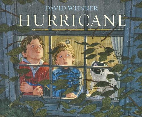 Hurricane | 9781783445776 | Wiesner, David | Llibreria Sendak