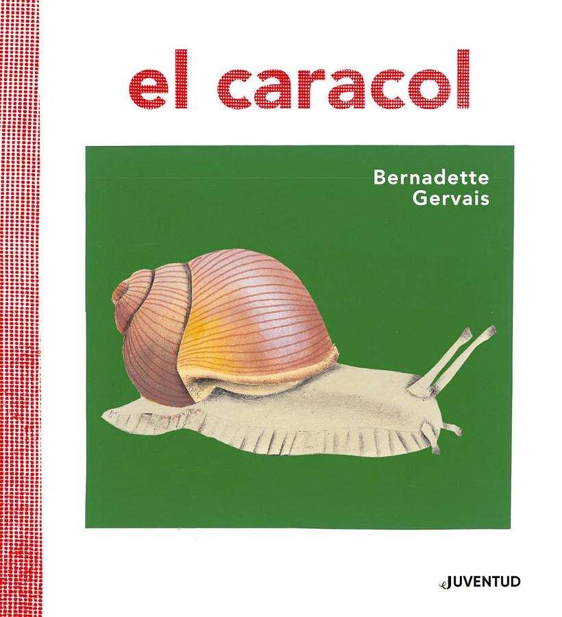 El caracol | 9788426145673 | Gervais, Bernadette | Librería Sendak