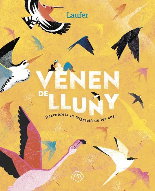 Venen de lluny | 9788482897349 | Laufer (Laura Fernández Arquisola) | Llibreria Sendak