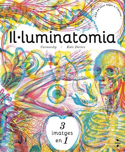 Il·luminatomia | 9788466143240 | Carnovsky,/Davies, Kate | Llibreria Sendak