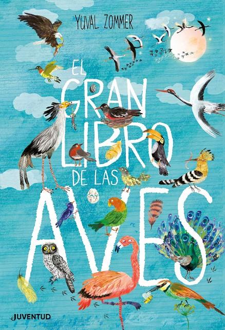 El gran libro de las aves | 9788426145833 | Zommer, Yuval | Librería Sendak