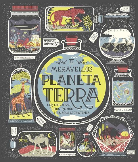 El meravellós planeta Terra | 9788491378778 | Ignotofsky, Rachel | Llibreria Sendak