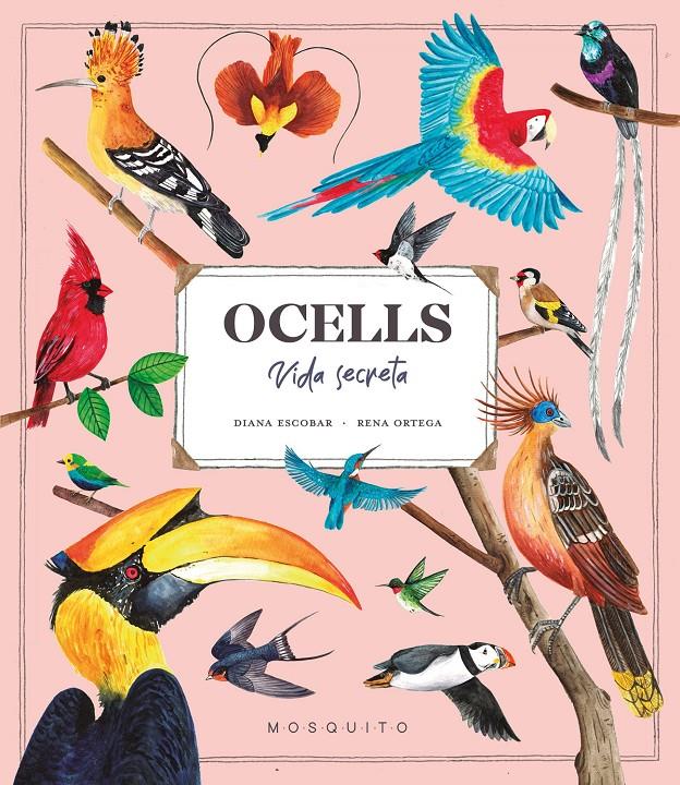 Ocells. Vida Secreta | 9788419095534 | Esteban, Diana | Llibreria Sendak