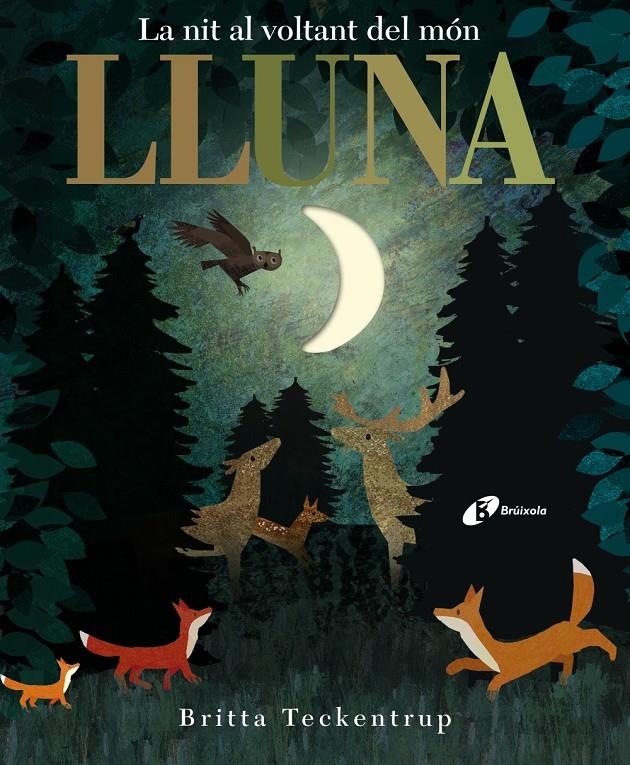 Lluna | 9788499068497 | Hegarty, Patricia | Librería Sendak