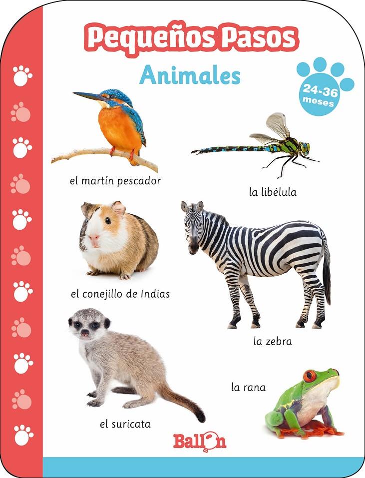 Pequeños pasos - Animales 24-36 meses | 9789403213613 | BALLON | Llibreria Sendak