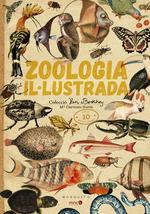 Zoologia il·lustrada | 9788412033205 | Soria, Carmen | Librería Sendak