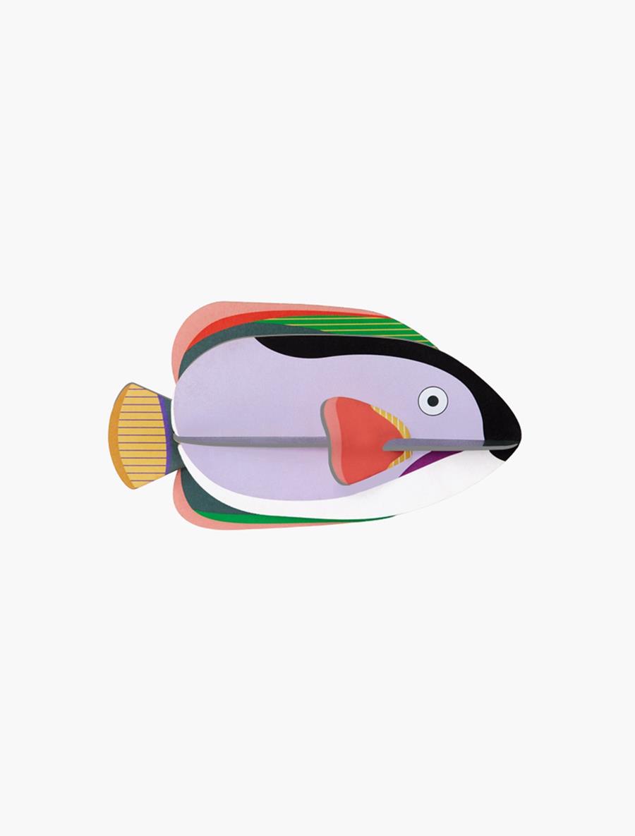 STUDIO ROOF King Angelfish | 8720629640556 | Llibreria Sendak