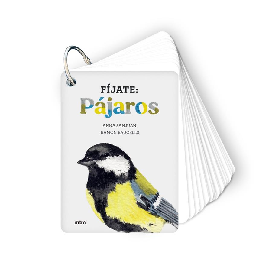 Fíjate: pájaros | 9788417165819 | Llibreria Sendak