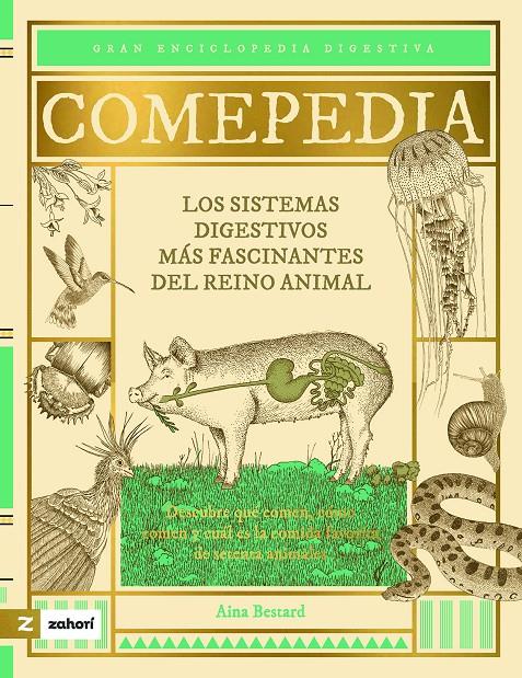 Comepedia | 9788419889416 | Aina Bestard | Librería Sendak